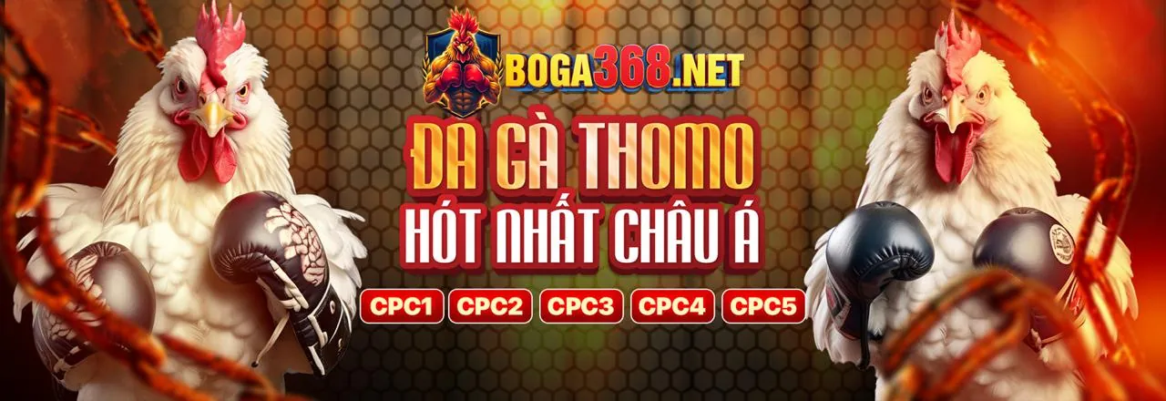 Đá gà trực tuyến kịch tính tại FD88 Đăng Nhập